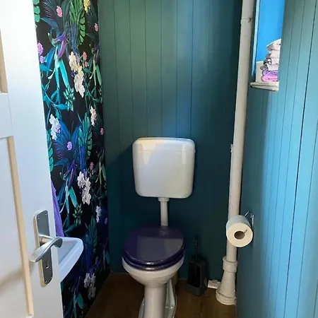 Ferienhaus Felicia Tatil Evi
